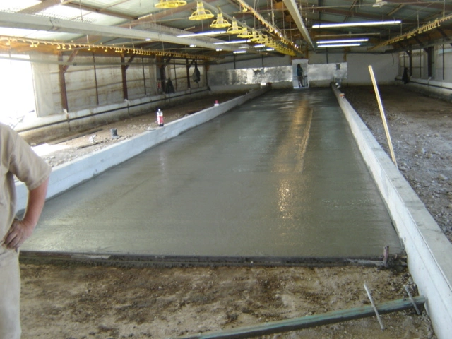 cubierta autosoportante tipo arcotecho en cancha deportiva de basketball vista de frente en instituto mater en monterrey, nuevo leon